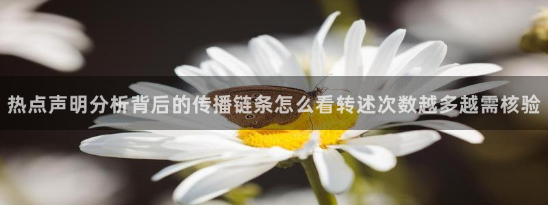 51吃瓜网网址：热点声明分析背后的传播链条怎么看转述次数越多越需核验