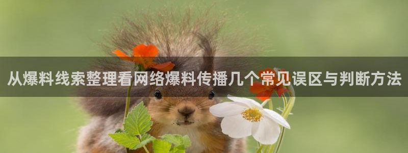 黑料吃瓜网站：从爆料线索整理看网络爆料传播几个常见误区与判断方法