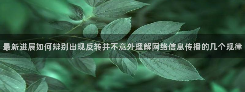 吃瓜网51