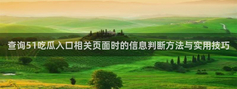九一吃瓜网:查询51吃瓜入口相关页面时的信息判断方法与实用技巧