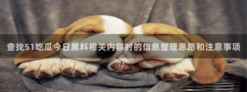 吃瓜爆料免费