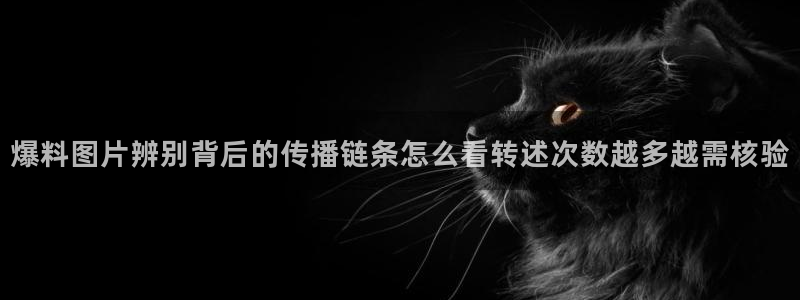 吃瓜黑料大全