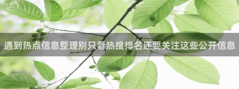 51吃瓜最新网址：遇到热点信息整理别只看热搜排名还要关注这些公开信息