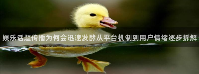 今日吃瓜:娱乐话题传播为何会迅速发酵从平台机制到用户情绪逐步拆解