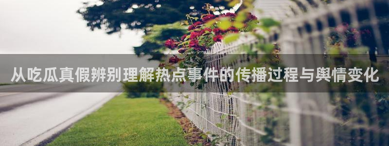 我要吃瓜:从吃瓜真假辨别理解热点事件的传播过程与舆情变化